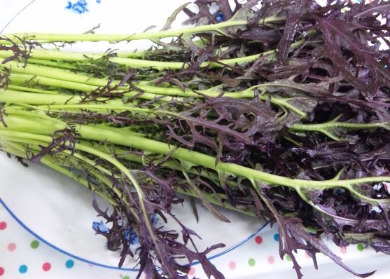 赤からし水菜炒飯 野菜の暮らし